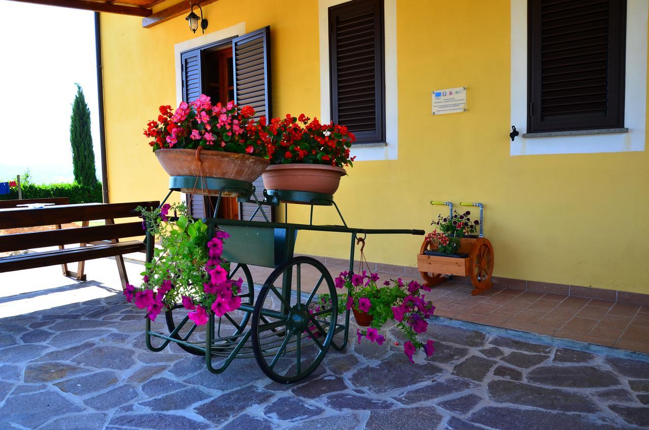 Agriturismo L'Impero Santa Luce Exterior photo